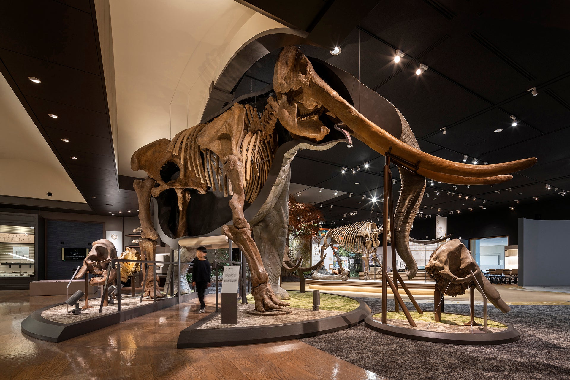 滋賀県立琵琶湖博物館